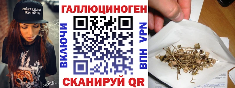 Галлюциногенные грибы Psilocybine cubensis  Южноуральск 