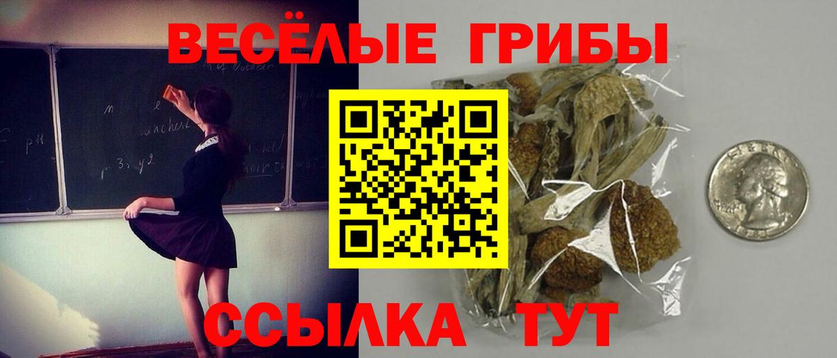 Псилоцибиновые грибы Psilocybine cubensis  Галлюциногенные грибы MAGIC MUSHROOMS  Вход с VPN  Южноуральск 